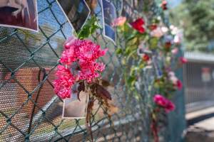 Game Meats Company Vigil 2026 - Images taken at vigil outside Game Meats Company slaughterhouse in February 2026.
 - Captured at Game Meats Company Slaughterhouse, Eurobin VIC Australia.
