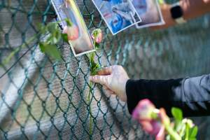 Game Meats Company Vigil 2026 - Images taken at vigil outside Game Meats Company slaughterhouse in February 2026.
- Captured at Game Meats Company Slaughterhouse, Eurobin VIC Australia.