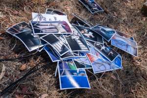 Game Meats Company Vigil 2026 - Images taken at vigil outside Game Meats Company slaughterhouse in February 2026.
- Captured at Game Meats Company Slaughterhouse, Eurobin VIC Australia.