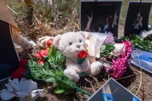 Game Meats Company Vigil 2026 - Images taken at vigil outside Game Meats Company slaughterhouse in February 2026.
- Captured at Game Meats Company Slaughterhouse, Eurobin VIC Australia.