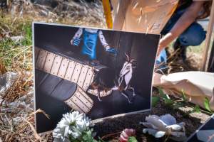 Game Meats Company Vigil 2026 - Images taken at vigil outside Game Meats Company slaughterhouse in February 2026.
- Captured at Game Meats Company Slaughterhouse, Eurobin VIC Australia.