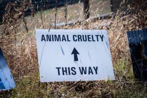 Game Meats Company Vigil 2026 - Images taken at vigil outside Game Meats Company slaughterhouse in February 2026.
- Captured at Game Meats Company Slaughterhouse, Eurobin VIC Australia.