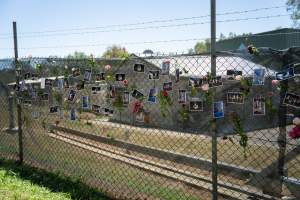 Game Meats Company Vigil 2026 - Images taken at vigil outside Game Meats Company slaughterhouse in February 2026. - Captured at Game Meats Company Slaughterhouse, Eurobin VIC Australia.