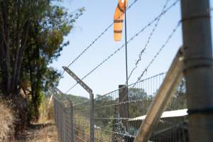Game Meats Company Vigil 2026 - Images taken at vigil outside Game Meats Company slaughterhouse in February 2026. - Captured at Game Meats Company Slaughterhouse, Eurobin VIC Australia.