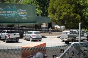 Game Meats Company Vigil 2026 - Images taken at vigil outside Game Meats Company slaughterhouse in February 2026. - Captured at Game Meats Company Slaughterhouse, Eurobin VIC Australia.