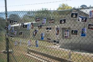 Game Meats Company Vigil 2026 - Images taken at vigil outside Game Meats Company slaughterhouse in February 2026. - Captured at Game Meats Company Slaughterhouse, Eurobin VIC Australia.