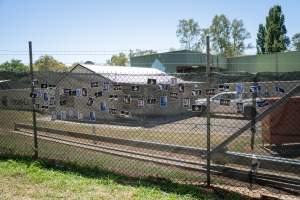 Game Meats Company Vigil 2026 - Images taken at vigil outside Game Meats Company slaughterhouse in February 2026. - Captured at Game Meats Company Slaughterhouse, Eurobin VIC Australia.