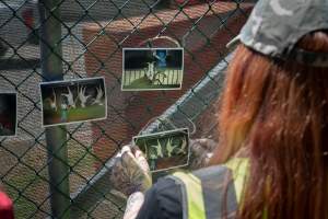 Game Meats Company Vigil 2026 - Images taken at vigil outside Game Meats Company slaughterhouse in February 2026. - Captured at Game Meats Company Slaughterhouse, Eurobin VIC Australia.