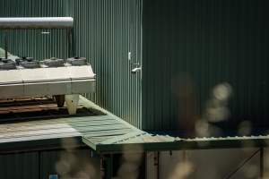 Game Meats Company Vigil 2026 - Images taken at vigil outside Game Meats Company slaughterhouse in February 2026. - Captured at Game Meats Company Slaughterhouse, Eurobin VIC Australia.