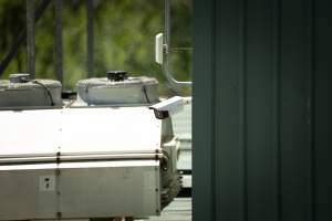 Game Meats Company Vigil 2026 - Images taken at vigil outside Game Meats Company slaughterhouse in February 2026. - Captured at Game Meats Company Slaughterhouse, Eurobin VIC Australia.