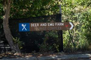 Game Meats Company Vigil 2026 - Images taken at vigil outside Game Meats Company slaughterhouse in February 2026. - Captured at Game Meats Company Slaughterhouse, Eurobin VIC Australia.