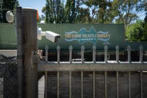 Game Meats Company Vigil 2026 - Images taken at vigil outside Game Meats Company slaughterhouse in February 2026. - Captured at Game Meats Company Slaughterhouse, Eurobin VIC Australia.