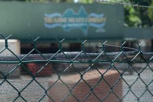 Game Meats Company Vigil 2026 - Images taken at vigil outside Game Meats Company slaughterhouse in February 2026. - Captured at Game Meats Company Slaughterhouse, Eurobin VIC Australia.