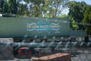 Game Meats Company Vigil 2026 - Images taken at vigil outside Game Meats Company slaughterhouse in February 2026. - Captured at Game Meats Company Slaughterhouse, Eurobin VIC Australia.