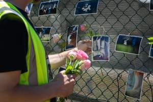 Game Meats Company Vigil 2026 - Images taken at vigil outside Game Meats Company slaughterhouse in February 2026. - Captured at Game Meats Company Slaughterhouse, Eurobin VIC Australia.