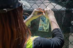 Game Meats Company Vigil 2026 - Images taken at vigil outside Game Meats Company slaughterhouse in February 2026. - Captured at Game Meats Company Slaughterhouse, Eurobin VIC Australia.