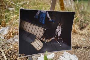 Game Meats Company Vigil 2026 - Images taken at vigil outside Game Meats Company slaughterhouse in February 2026. - Captured at Game Meats Company Slaughterhouse, Eurobin VIC Australia.