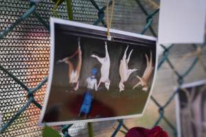 Game Meats Company Vigil 2026 - Images taken at vigil outside Game Meats Company slaughterhouse in February 2026. - Captured at Game Meats Company Slaughterhouse, Eurobin VIC Australia.