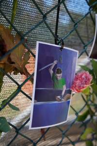 Game Meats Company Vigil 2026 - Images taken at vigil outside Game Meats Company slaughterhouse in February 2026. - Captured at Game Meats Company Slaughterhouse, Eurobin VIC Australia.