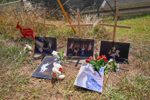 Game Meats Company Vigil 2026 - Images taken at vigil outside Game Meats Company slaughterhouse in February 2026. - Captured at Game Meats Company Slaughterhouse, Eurobin VIC Australia.