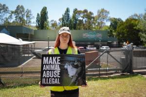 Game Meats Company Vigil 2026 - Images taken at vigil outside Game Meats Company slaughterhouse in February 2026. - Captured at Game Meats Company Slaughterhouse, Eurobin VIC Australia.