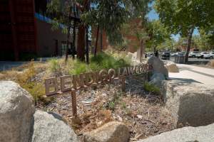 Free Olivia - 5 February 2026 - Images taken of supporters outside the Bendigo Magistrates' Court. The magistrate dismissed all charges against the man responsible for the r*pe of Olivia, a sow from Midland Bacon piggery. - Captured at Midland Bacon, Carag Carag VIC Australia.