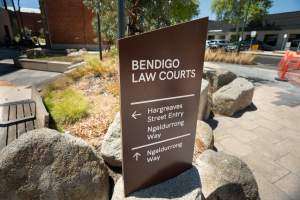 Free Olivia - 5 February 2026 - Images taken of supporters outside the Bendigo Magistrates' Court. The magistrate dismissed all charges against the man responsible for the r*pe of Olivia, a sow from Midland Bacon piggery. - Captured at Midland Bacon, Carag Carag VIC Australia.