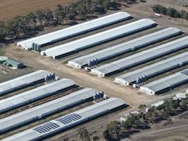 Drone Flyover - Captured at ProTen - Winchelsea, Winchelsea VIC Australia.