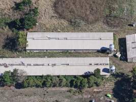Captured at Golden Duck Farm, Cororooke VIC Australia.