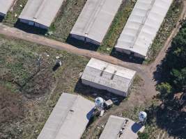 Captured at Golden Duck Farm, Cororooke VIC Australia.