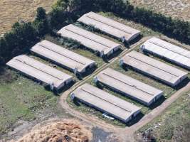 Captured at Golden Duck Farm, Cororooke VIC Australia.