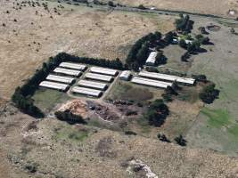 Captured at Golden Duck Farm, Cororooke VIC Australia.