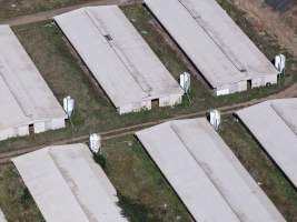 Captured at Golden Duck Farm, Cororooke VIC Australia.