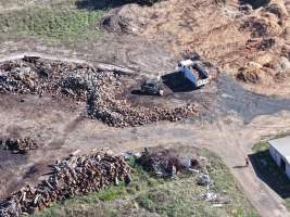 Captured at Golden Duck Farm, Cororooke VIC Australia.