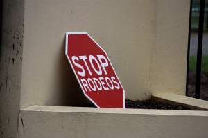 Protest outside of Queanbeyan Rodeo - Photos taken at a protest organised by Animal Liberation ACT and Animal Defenders Office outside of Queanbeyan Rodeo, where animals such as horse and cattle have been seen and recorded being chased, mistreated, and tormented. - Captured at NSW.