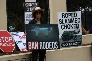 Protest outside of Queanbeyan Rodeo - Photos taken at a protest organised by Animal Liberation ACT and Animal Defenders Office outside of Queanbeyan Rodeo, where animals such as horse and cattle have been seen and recorded being chased, mistreated, and tormented. - Captured at NSW.