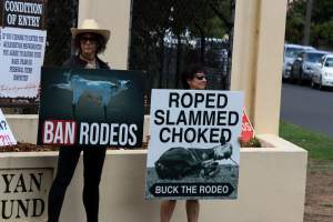 Protest outside of Queanbeyan Rodeo - Photos taken at a protest organised by Animal Liberation ACT and Animal Defenders Office outside of Queanbeyan Rodeo, where animals such as horse and cattle have been seen and recorded being chased, mistreated, and tormented. - Captured at NSW.