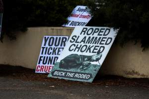 Protest outside of Queanbeyan Rodeo - Photos taken at a protest organised by Animal Liberation ACT and Animal Defenders Office outside of Queanbeyan Rodeo, where animals such as horse and cattle have been seen and recorded being chased, mistreated, and tormented. - Captured at NSW.
