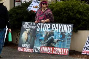 Protest outside of Queanbeyan Rodeo - Photos taken at a protest organised by Animal Liberation ACT and Animal Defenders Office outside of Queanbeyan Rodeo, where animals such as horse and cattle have been seen and recorded being chased, mistreated, and tormented. - Captured at NSW.