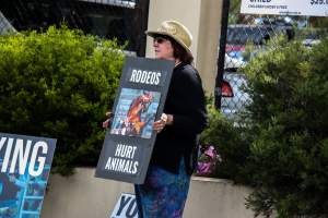 Protest outside of Queanbeyan Rodeo - Photos taken at a protest organised by Animal Liberation ACT and Animal Defenders Office outside of Queanbeyan Rodeo, where animals such as horse and cattle have been seen and recorded being chased, mistreated, and tormented. - Captured at NSW.