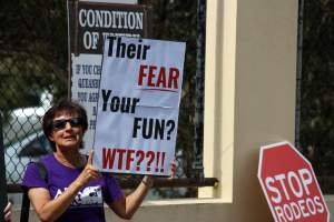 Protest outside of Queanbeyan Rodeo - Photos taken at a protest organised by Animal Liberation ACT and Animal Defenders Office outside of Queanbeyan Rodeo, where animals such as horse and cattle have been seen and recorded being chased, mistreated, and tormented. - Captured at NSW.