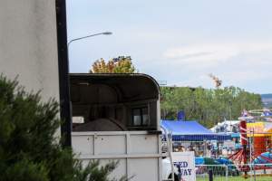 Horse in Trailer outside of Queanbeyan Rodeo - Photos taken at a protest organised by Animal Liberation ACT and Animal Defenders Office outside of Queanbeyan Rodeo, where animals such as horse and cattle have been seen and recorded being chased, mistreated, and tormented. - Captured at NSW.