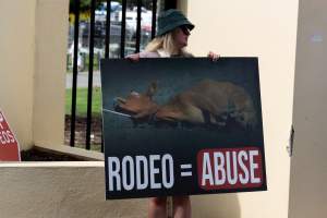Protest outside of Queanbeyan Rodeo - Photos taken at a protest organised by Animal Liberation ACT and Animal Defenders Office outside of Queanbeyan Rodeo, where animals such as horse and cattle have been seen and recorded being chased, mistreated, and tormented. - Captured at NSW.