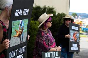 Protest outside of Queanbeyan Rodeo - Photos taken at a protest organised by Animal Liberation ACT and Animal Defenders Office outside of Queanbeyan Rodeo, where animals such as horse and cattle have been seen and recorded being chased, mistreated, and tormented. - Captured at NSW.