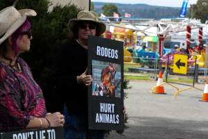 Protest outside of Queanbeyan Rodeo - Photos taken at a protest organised by Animal Liberation ACT and Animal Defenders Office outside of Queanbeyan Rodeo, where animals such as horse and cattle have been seen and recorded being chased, mistreated, and tormented. - Captured at NSW.