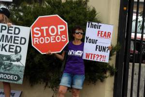 Protest outside of Queanbeyan Rodeo - Photos taken at a protest organised by Animal Liberation ACT and Animal Defenders Office outside of Queanbeyan Rodeo, where animals such as horse and cattle have been seen and recorded being chased, mistreated, and tormented. - Captured at NSW.