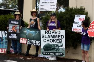 Protest outside of Queanbeyan Rodeo - Photos taken at a protest organised by Animal Liberation ACT and Animal Defenders Office outside of Queanbeyan Rodeo, where animals such as horse and cattle have been seen and recorded being chased, mistreated, and tormented. - Captured at NSW.