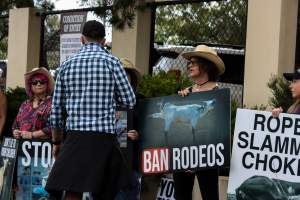 Rodeo-Goers interact with Protest outside of Queanbeyan Rodeo - Photos taken at a protest organised by Animal Liberation ACT and Animal Defenders Office outside of Queanbeyan Rodeo, where animals such as horse and cattle have been seen and recorded being chased, mistreated, and tormented. Several rodeo-goers were seen harassing protestors, including making misogynistic and transphobic remarks. - Captured at NSW.