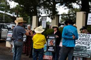 Rodeo-Goers interact with Protest outside of Queanbeyan Rodeo - Photos taken at a protest organised by Animal Liberation ACT and Animal Defenders Office outside of Queanbeyan Rodeo, where animals such as horse and cattle have been seen and recorded being chased, mistreated, and tormented. Several rodeo-goers were seen harassing protestors, including making misogynistic and transphobic remarks. - Captured at NSW.