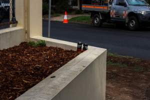 Rubbish left by Rodeo-Goers outside of Queanbeyan Rodeo - Photos taken at a protest organised by Animal Liberation ACT and Animal Defenders Office outside of Queanbeyan Rodeo, where animals such as horse and cattle have been seen and recorded being chased, mistreated, and tormented. - Captured at NSW.